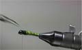 mucha Crazy leg caddis